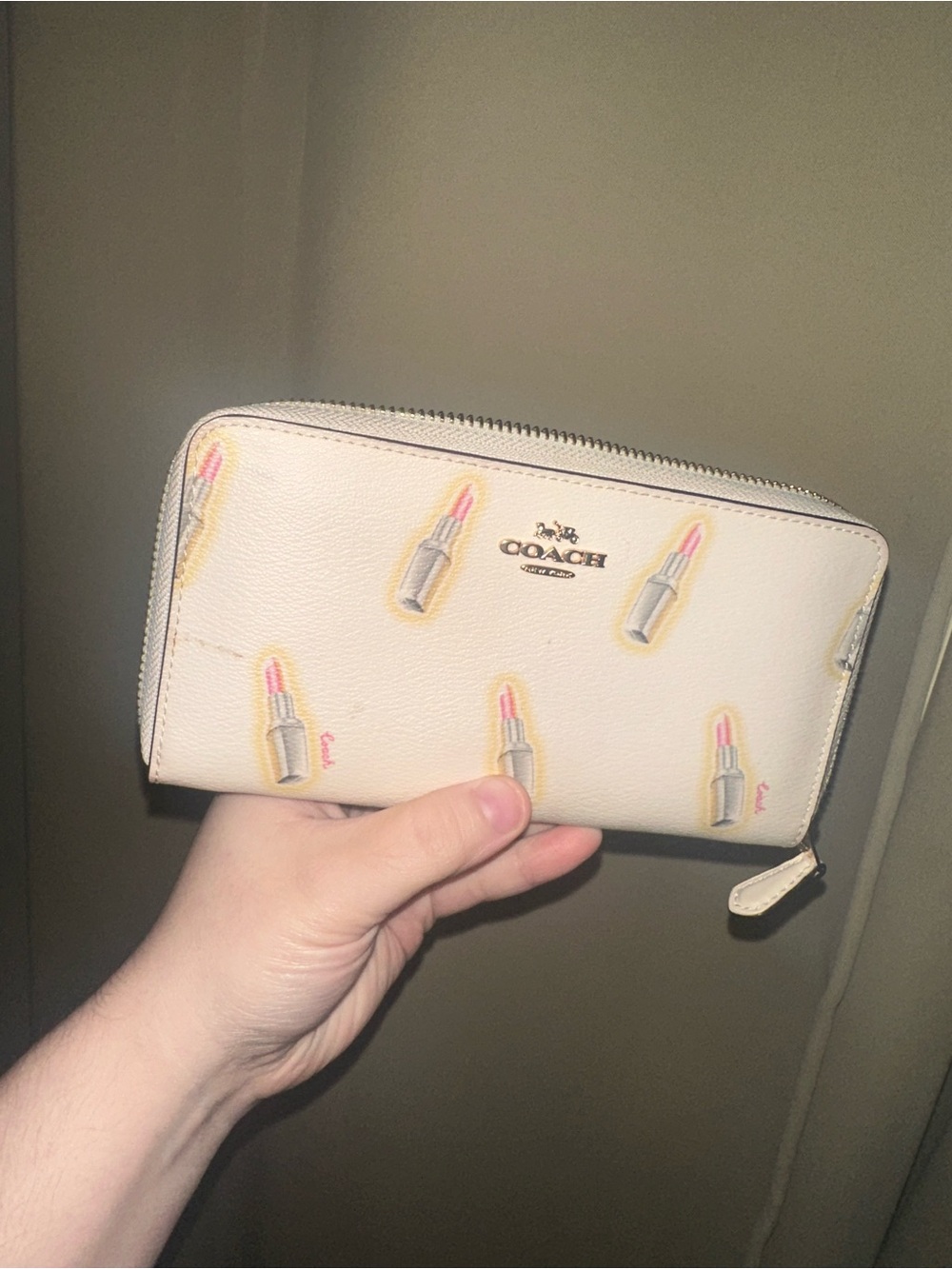Coach Accordion Zip Wallet Lipstick Print